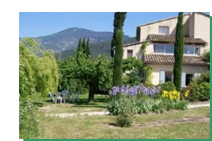 lilas